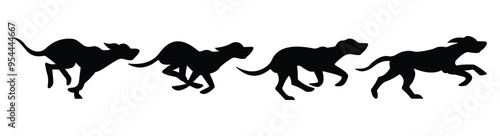 silhouette of dog running