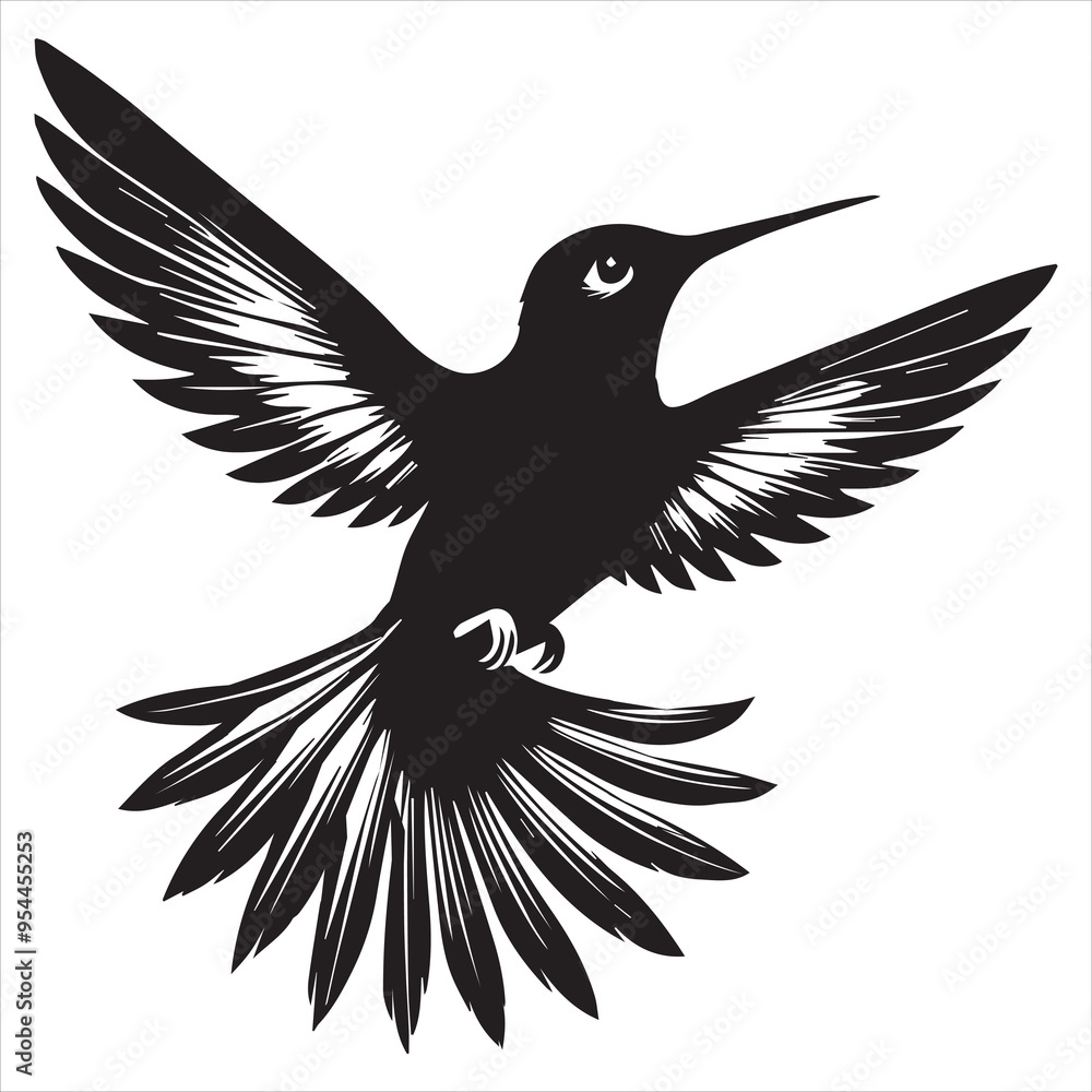 Obraz premium Rufous hummingbird silhouette - Hummingbird Bird Clipart - Rufous Hummingbird in flight with tail spread illustration in black and white 