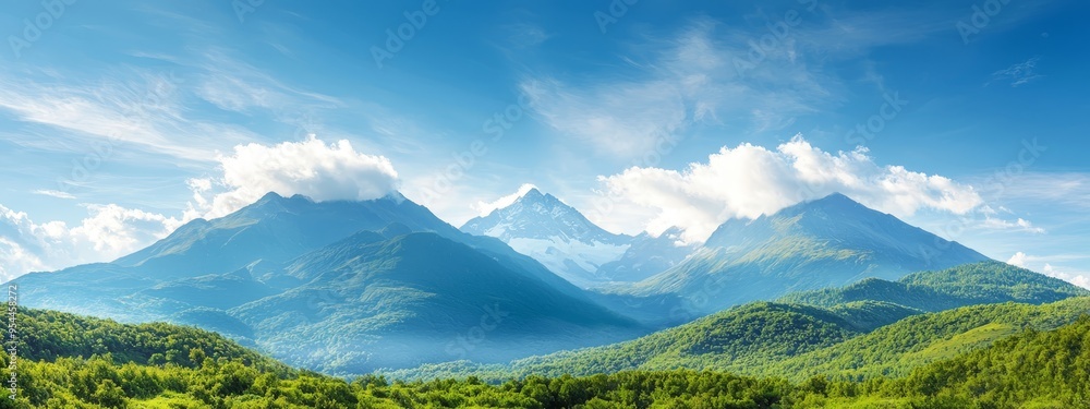 trees in foreground, blue sky with clouds in background trees in foreground, blue sky with clouds in background