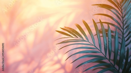 Palm Frond Silhouetted Against a Blurry Pink and Orange Background