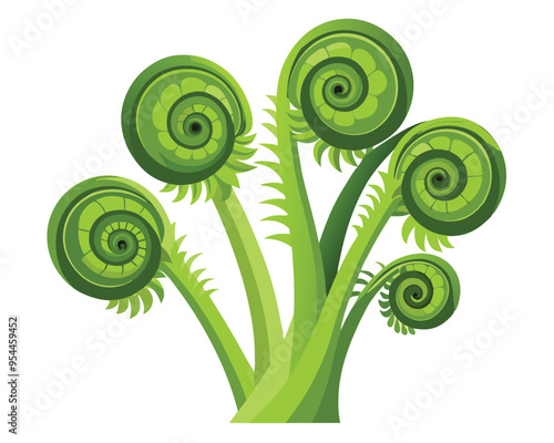 Fiddleheads vector illustration isolated on white background photo