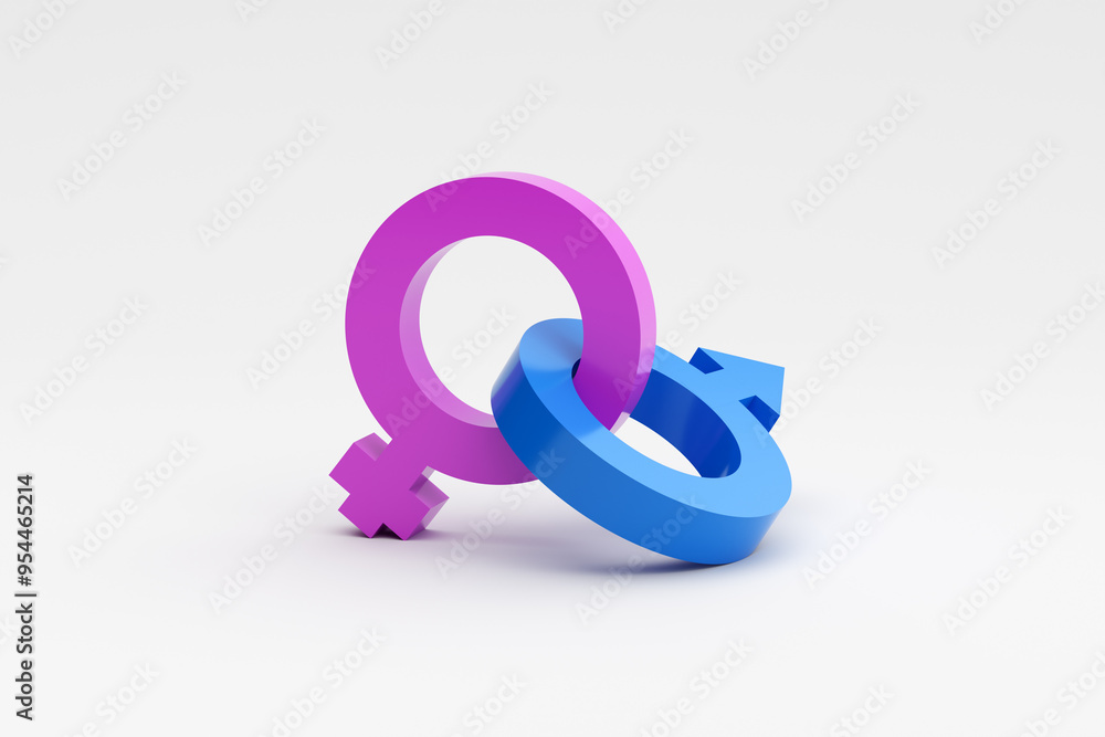 Blue male and pink female gender symbols intertwined on white background Blue male and pink female gender symbols intertwined on white background