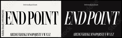 Condensed serif vector font. Elegant font classic fashion Designs. Typography modern serif fonts condensed decorative concept. vector illustration	