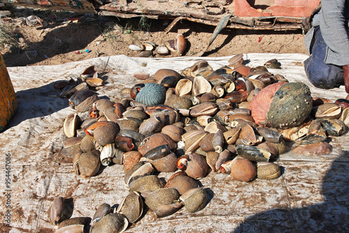 Obraz na płótnie Shells in the sea port of the small village not far Dakar, Senegal w salonie