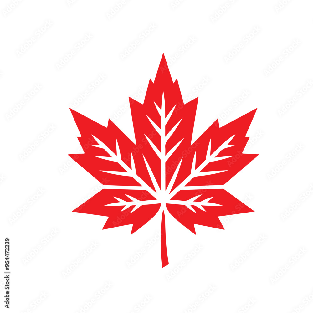 red maple leaf red maple leaf