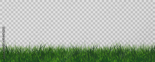 Grass border, vector illustration. Vector grass, lawn. Grass png, lawn png. Green grass with sun glare.	
