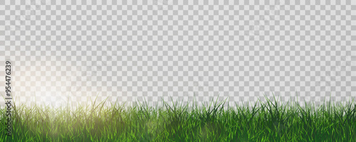 Grass border, vector illustration. Vector grass, lawn. Grass png, lawn png. Green grass with sun glare.	
