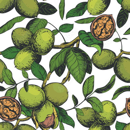 Seamless pattern with hand drawn walnuts. Branch with leaves and ripe nuts. Vector illustration in color engraving technique for nut paste, oil, liqueur Nocino. For packaging design. Ink sketch.