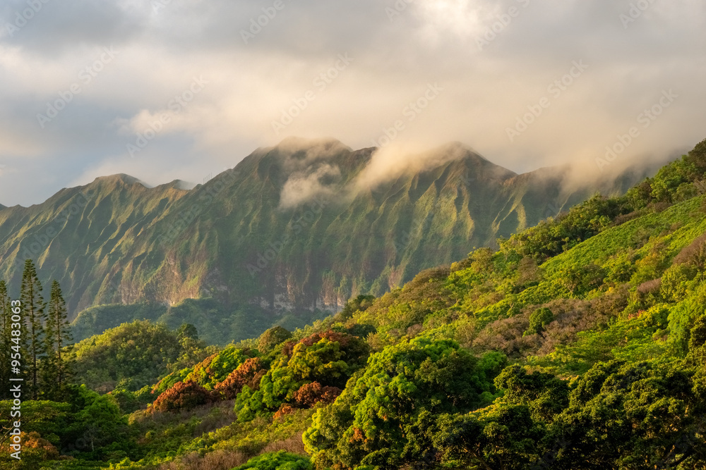 Obraz premium A Panoramic aerial image from the Pali Lookout on the island of Oahu in Hawaii.