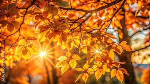 Warm sunlight filters through copper leaves of a deciduous tree, backlighting the branches, low-angle shot, warm golden light, serenity, a realistic photo image. photo