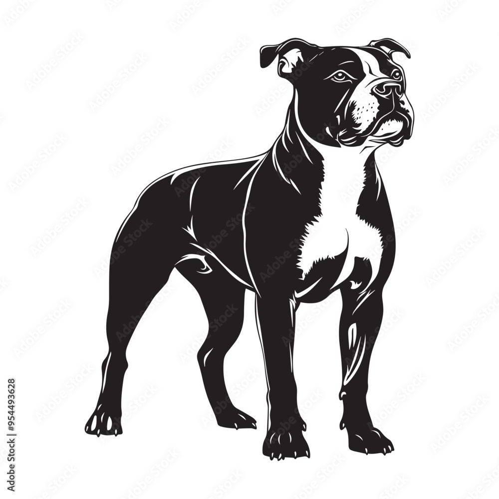 Obraz premium Pit bull Dog Standing silhouette - standing dog side view Vector illustration in black and white