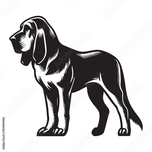 Bloodhound Dog Standing silhouette - standing dog side view Vector illustration in black and white
