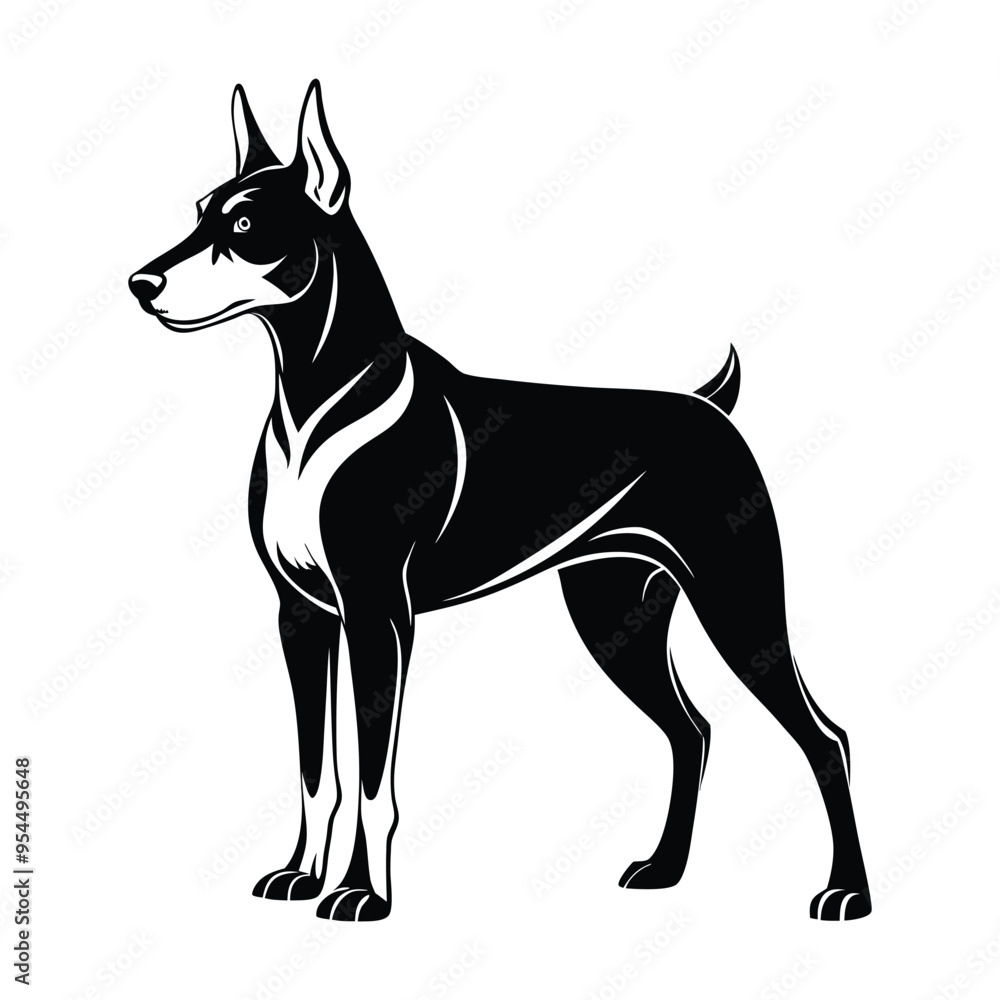 Dobermann Dog Standing silhouette - standing dog side view Vector illustration in black and white
Dobermann Dog Standing silhouette - standing dog side view Vector illustration in black and white
