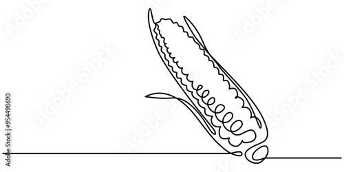 Corn continuous one line drawing, single line art element, minimalist sketch line vector illustration, autum and thanksgiving concept, Continuous one line drawing. Vegetables two corn vector 