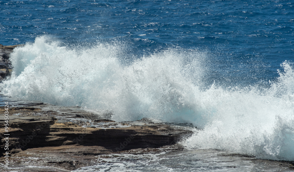Fototapeta premium hawaii oahu coast waves crashing into cliffs