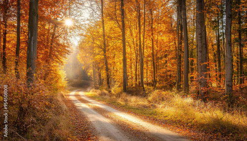 A serene autumn scene featuring a winding dirt road surrounded by vibrant orange and yellow trees.