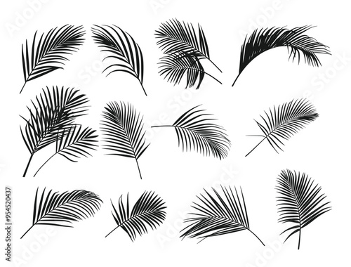 palm tree silhouette vector