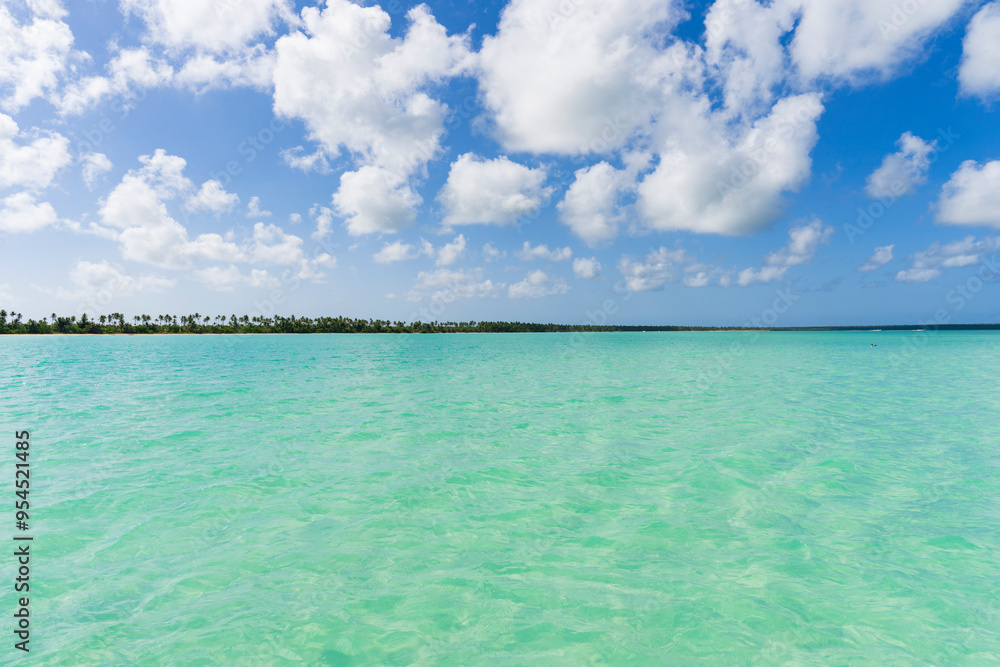 Aerial view of Saona Island. Caribbean Sea with clear blue sea, sandy beach and green palms. Tropical beach.Dominican Republic Aerial view of Saona Island. Caribbean Sea with clear blue sea, sandy beach and green palms. Tropical beach.Dominican Republic
