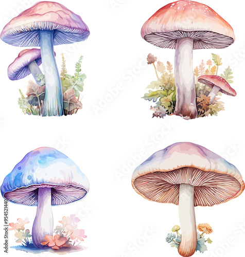 Mushrooms Watercolor Vector Illustration.