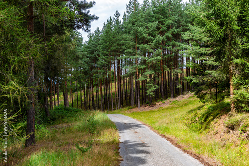 Rural road in South Bohemian forest. Czechia.