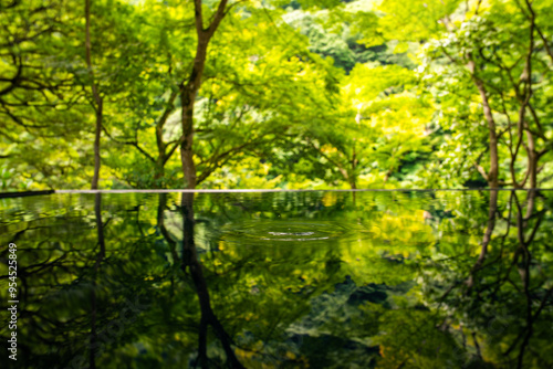 Japanese garden view with reflection and flowers, in Arashiyama Kyoto, Japan