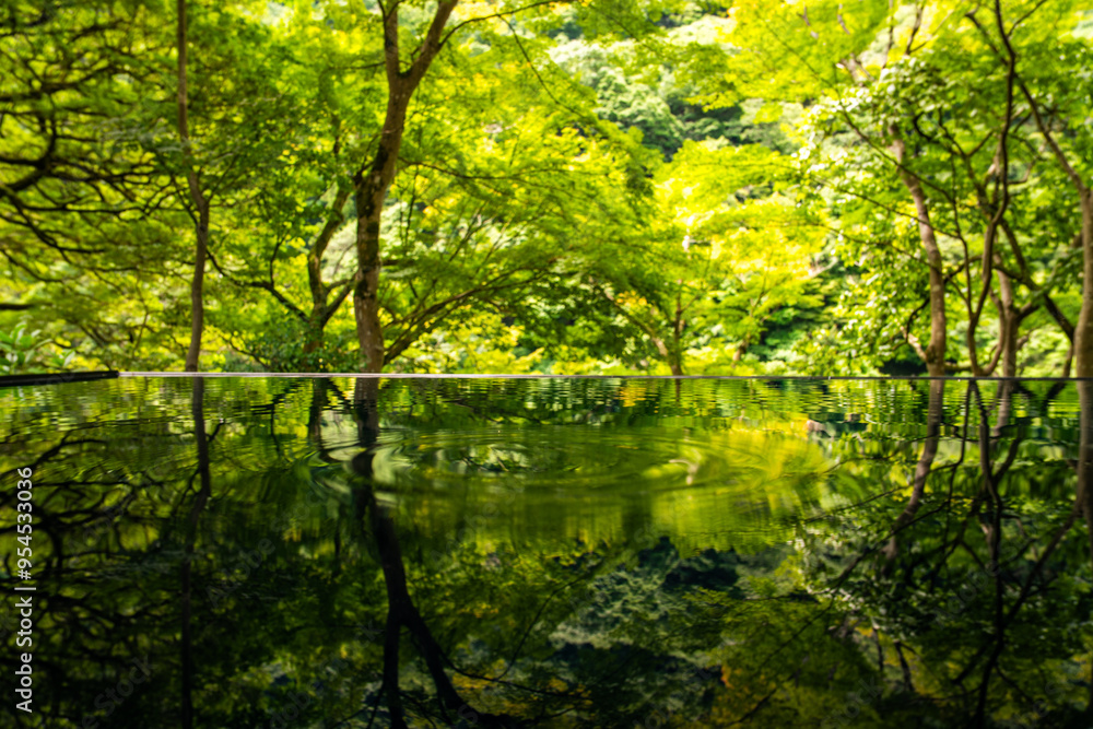 Japanese garden view with reflection and flowers, in Arashiyama Kyoto, Japan Japanese garden view with reflection and flowers, in Arashiyama Kyoto, Japan