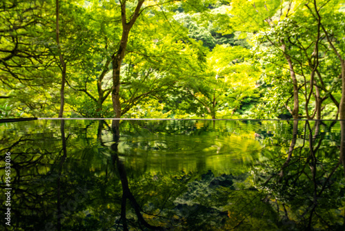 Japanese garden view with reflection and flowers, in Arashiyama Kyoto, Japan