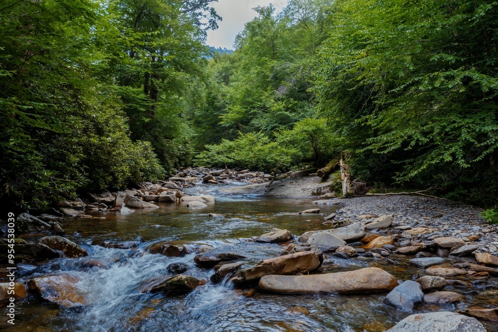 River with boulders and forest in the Great Smoky Mountains National Park, Tennessee, United States Of America. River with boulders and forest in the Great Smoky Mountains National Park, Tennessee, United States Of America.