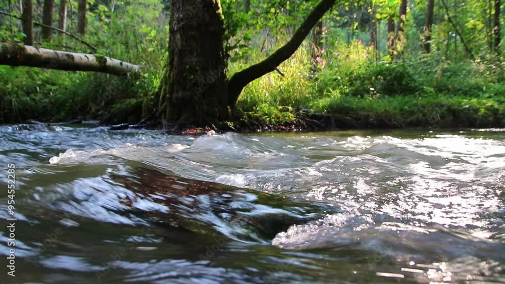Idyllic river floating water in a green forest scenery with silky waves and stones in the calm creek shows relaxing hiking tourism with clear water and wonderful healthy environment in low angle view Idyllic river floating water in a green forest scenery with silky waves and stones in the calm creek shows relaxing hiking tourism with clear water and wonderful healthy environment in low angle view