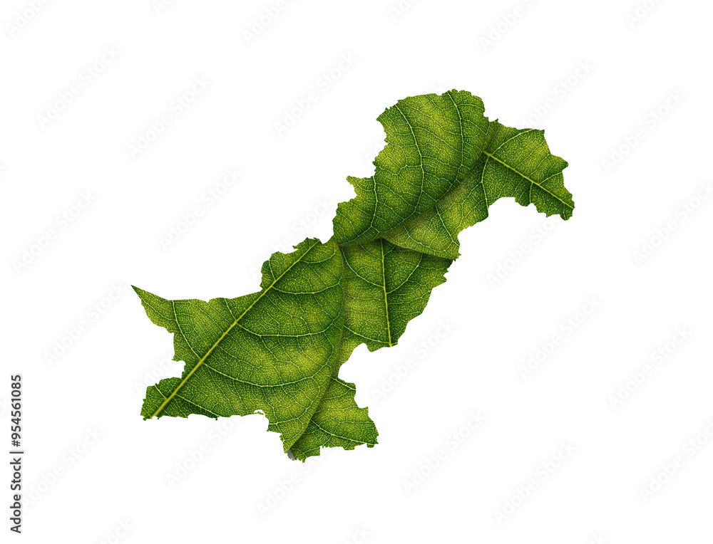 Pakistan map made of green leaves, concept ecology Map green leaf on white background
