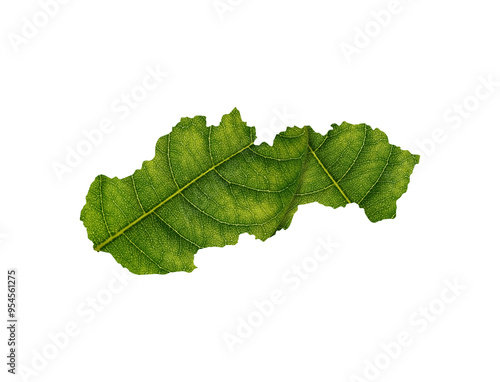 Slovakia map made of green leaves ecology concept 