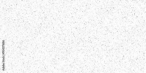 Terrazzo flooring consists of chips of marble texture. quartz surface white, black for bathroom or kitchen countertop. white paper texture background. rock stone marble backdrop textured illustration.