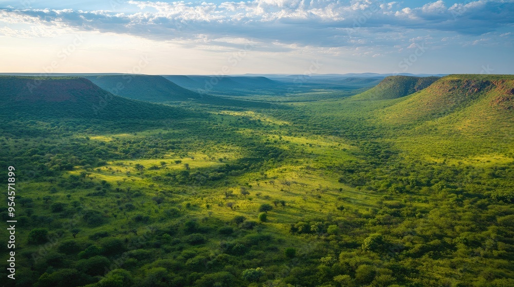 Top view of the tranquil, green landscapes of the Waterberg Biosphere, with rolling hills and vast bushveld Top view of the tranquil, green landscapes of the Waterberg Biosphere, with rolling hills and vast bushveld
