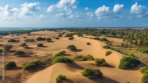 Top view of the undulating sand dunes and arid landscapes of Mannar Island, with scattered vegetation photo