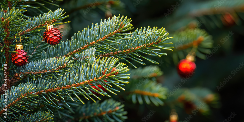 Macro texture Christmas Fir tree branches textured Background. Fluffy pine tree spruce brunch close up. Background template for greeting card and banner Macro texture Christmas Fir tree branches textured Background. Fluffy pine tree spruce brunch close up. Background template for greeting card and banner
