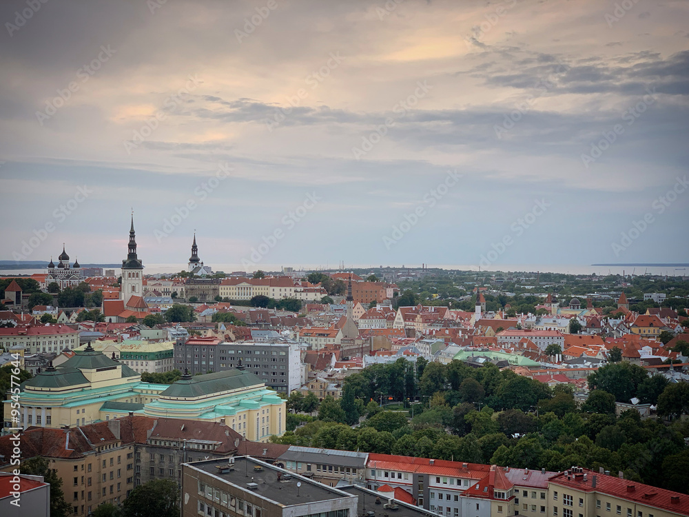 Fototapeta premium Panorama of the red roofs of the old town Tallinn, Estonia, August 2019