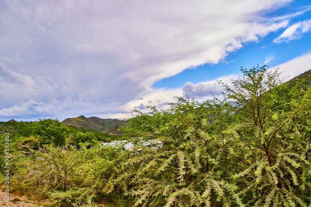 Obraz premium Eine Reise durch Südafrika.