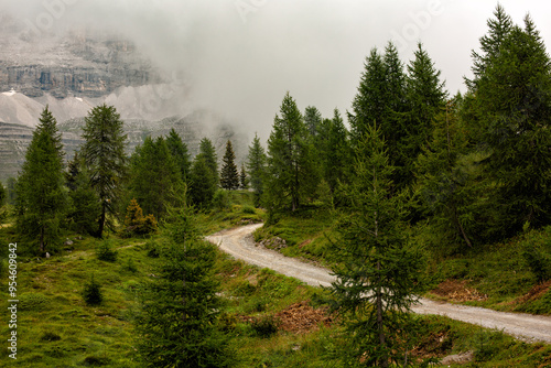 Mountain top and fir forest of the Adamello Brenta national park in a foggy, misty day, Italy.  No people. The Dolomites mountains near Madonna di Campiglio village. Late summer day, 2024. photo