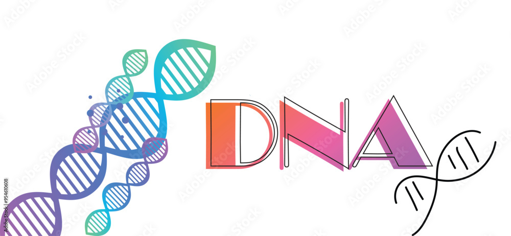 DNA, illustration, vector DNA shapes illustration DNA, illustration, vector DNA shapes illustration