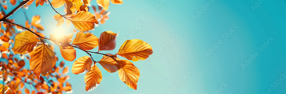 Autumn leaves on blue sky background banner AI Image Autumn leaves on blue sky background banner AI Image