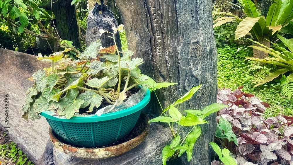 A colorful bucket filled with flowers sits in a lush garden surrounded by plants, trees, and a small waterfall, capturing the essence of spring and nature. A colorful bucket filled with flowers sits in a lush garden surrounded by plants, trees, and a small waterfall, capturing the essence of spring and nature.