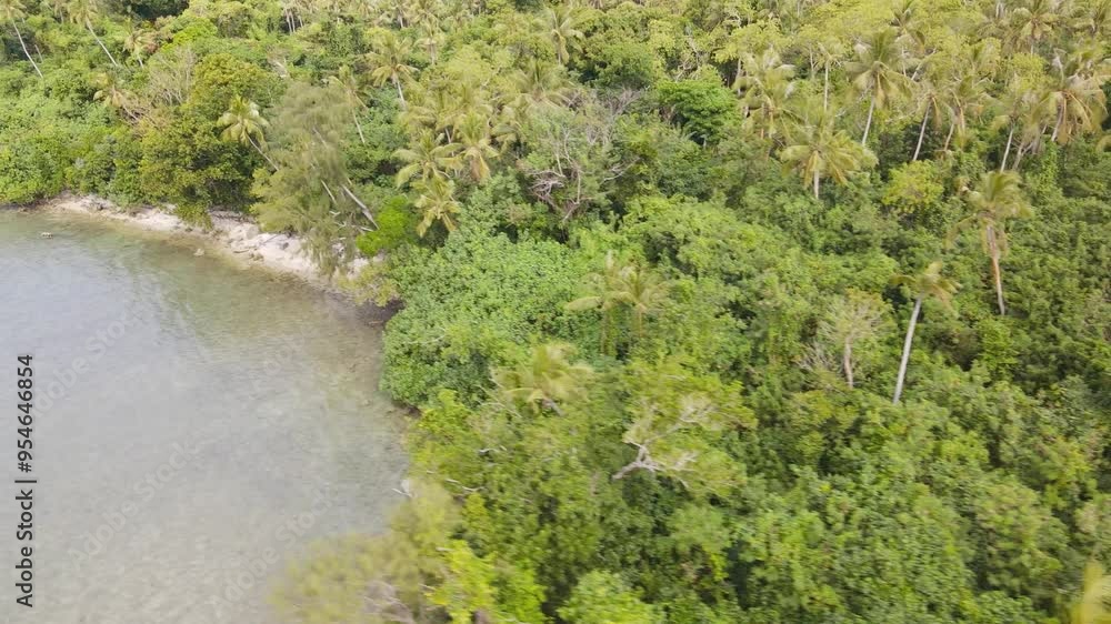 Drone aerial showing tropical lush forest on the beach in Vanuatu Drone aerial showing tropical lush forest on the beach in Vanuatu