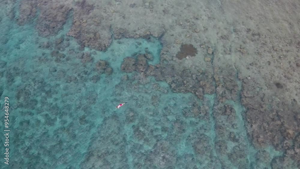 Drone aerial over a girl in red bathers swimming in tropical blue ocean in Vanuatu panning up to mountains Drone aerial over a girl in red bathers swimming in tropical blue ocean in Vanuatu panning up to mountains