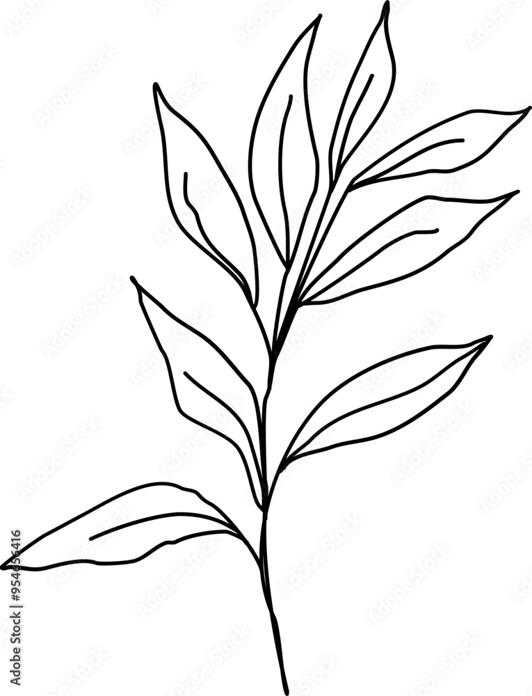 Fototapeta premium Floral Leaf Line Art