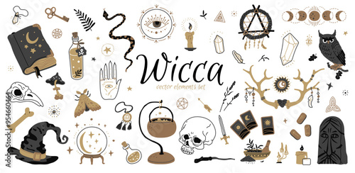A set used in alchemy and witchcraft designs. Flat style.