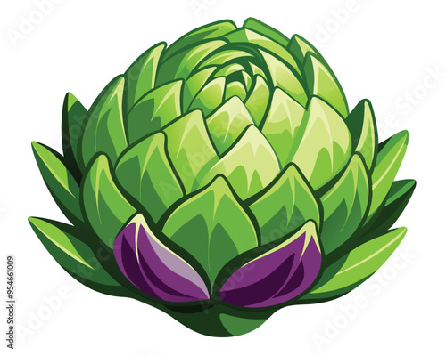 Artichoke vector illustration on white background