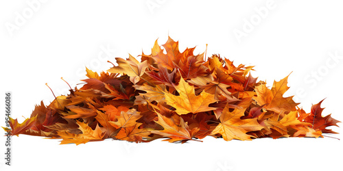 Pile of autumn leaves, isolated on a transparent background.