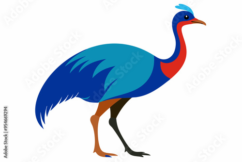  Beautiful bird cassowary vector art illustration