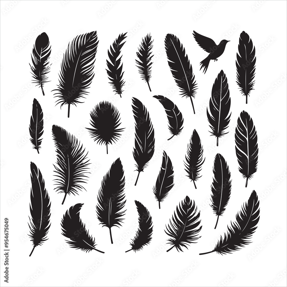 Obraz premium Bird feather, collection silhouette on a white background 