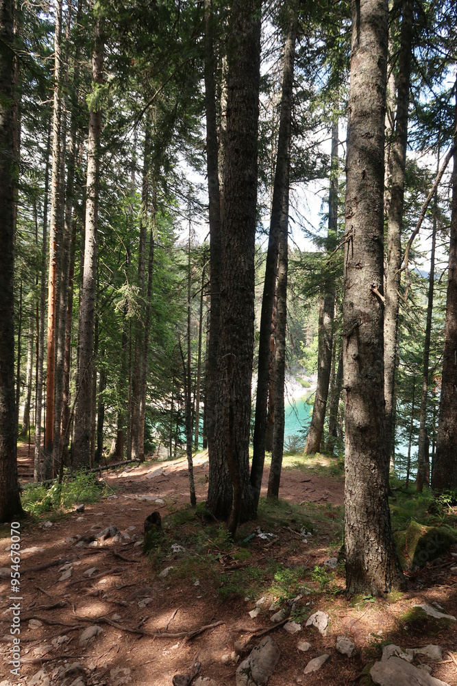 Obraz premium Hiking 